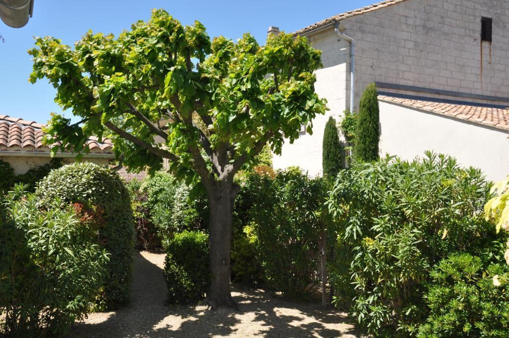 La Maison De Line Saint-Remy-de-Provence Exterior photo
